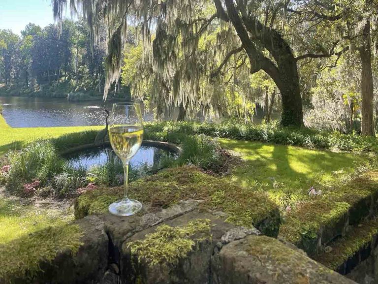 Must-See Gardens of Charleston: A Personal Journey Through the Lowcountry’s Botanical Treasures